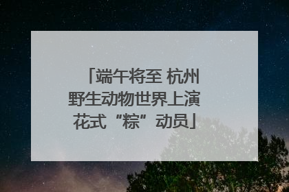 端午将至 杭州野生动物世界上演花式“粽”动员