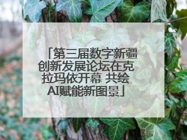 第三届数字新疆创新发展论坛在克拉玛依开幕 共绘AI赋能新图景