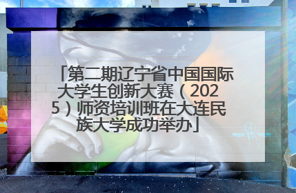 第二期辽宁省中国国际大学生创新大赛（2025）师资培训班在大连民族大学成功举办