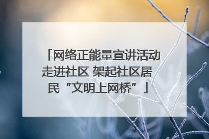 网络正能量宣讲活动走进社区 架起社区居民“文明上网桥”