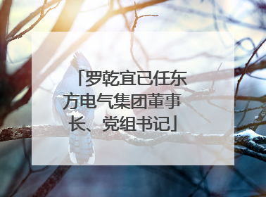 罗乾宜已任东方电气集团董事长、党组书记