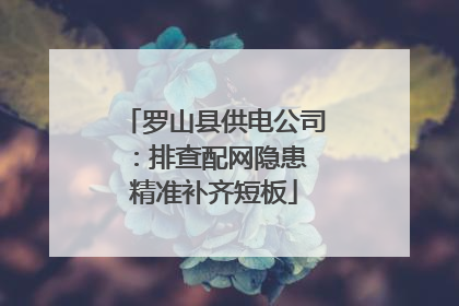 罗山县供电公司：排查配网隐患 精准补齐短板