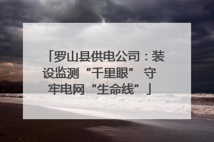 罗山县供电公司：装设监测“千里眼” 守牢电网“生命线”