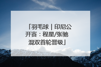 羽毛球｜印尼公开赛：程星/张驰混双首轮晋级