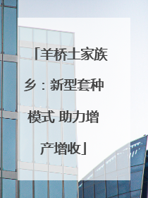 羊桥土家族乡：新型套种模式 助力增产增收