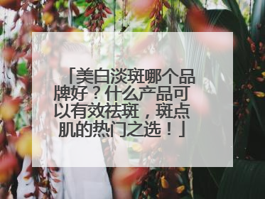 美白淡斑哪个品牌好？什么产品可以有效祛斑，斑点肌的热门之选！