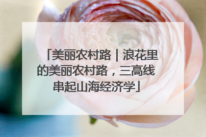 美丽农村路｜浪花里的美丽农村路，三高线串起山海经济学
