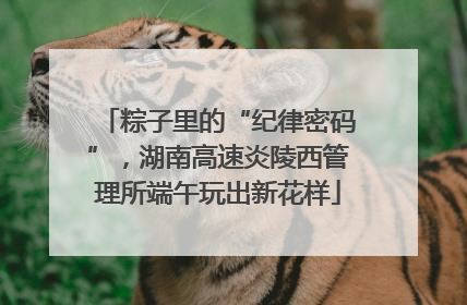 粽子里的“纪律密码”，湖南高速炎陵西管理所端午玩出新花样