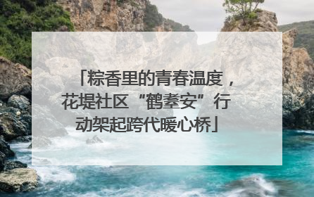 粽香里的青春温度，花堤社区“鹤耋安”行动架起跨代暖心桥