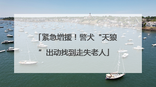 紧急增援！警犬“天狼”出动找到走失老人