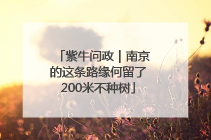 紫牛问政｜南京的这条路缘何留了200米不种树