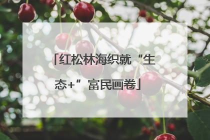 红松林海织就“生态+”富民画卷
