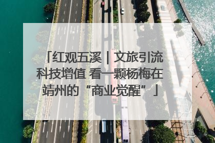 红观五溪｜文旅引流 科技增值 看一颗杨梅在靖州的“商业觉醒”