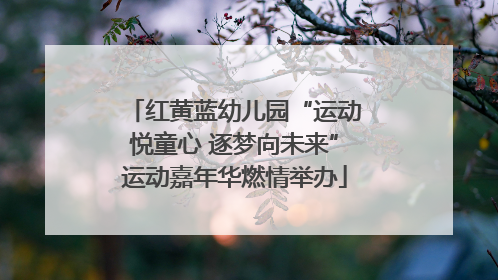 红黄蓝幼儿园“运动悦童心 逐梦向未来”运动嘉年华燃情举办