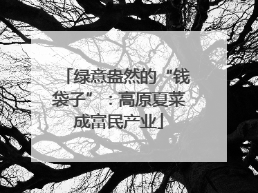 绿意盎然的“钱袋子”：高原夏菜成富民产业