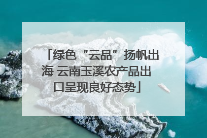 绿色“云品”扬帆出海 云南玉溪农产品出口呈现良好态势