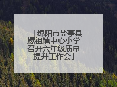 绵阳市盐亭县嫘祖镇中心小学召开六年级质量提升工作会