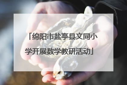 绵阳市盐亭县文同小学开展数学教研活动