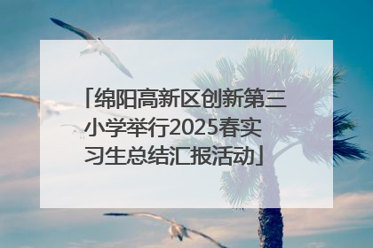 绵阳高新区创新第三小学举行2025春实习生总结汇报活动