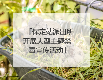 保定站派出所开展大型主题禁毒宣传活动