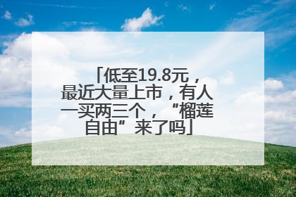 低至19.8元，最近大量上市，有人一买两三个，“榴莲自由”来了吗