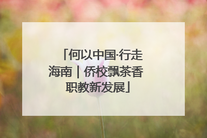 何以中国·行走海南｜侨校飘茶香 职教新发展
