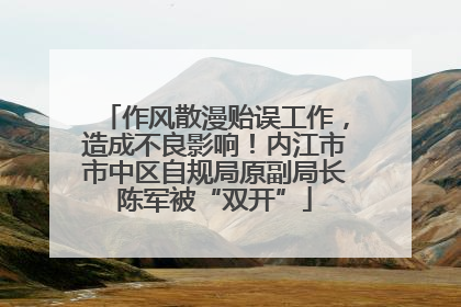 作风散漫贻误工作，造成不良影响！内江市市中区自规局原副局长陈军被“双开”