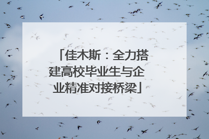 佳木斯：全力搭建高校毕业生与企业精准对接桥梁