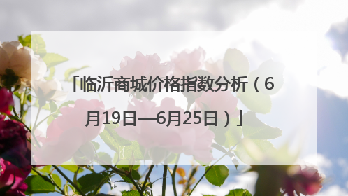 临沂商城价格指数分析（6月19日—6月25日）