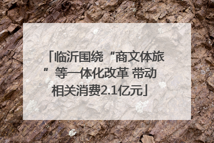 临沂围绕“商文体旅”等一体化改革 带动相关消费2.1亿元