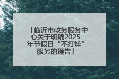 临沂市政务服务中心关于明确2025年节假日“不打烊”服务的通告