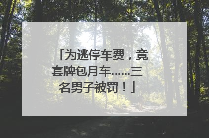为逃停车费，竟套牌包月车……三名男子被罚！