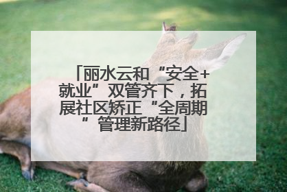 丽水云和“安全+就业”双管齐下，拓展社区矫正“全周期”管理新路径