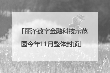 丽泽数字金融科技示范园今年11月整体封顶