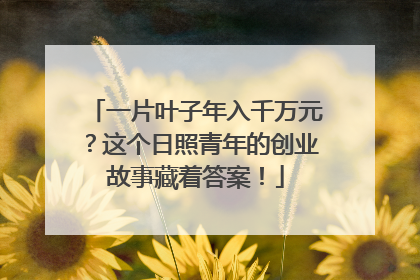 一片叶子年入千万元？这个日照青年的创业故事藏着答案！