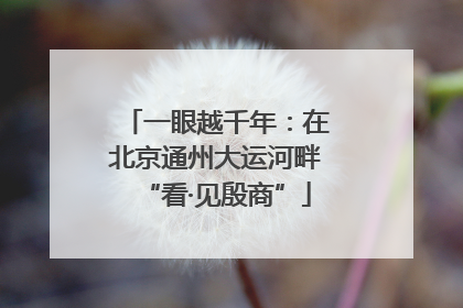 一眼越千年：在北京通州大运河畔“看·见殷商”