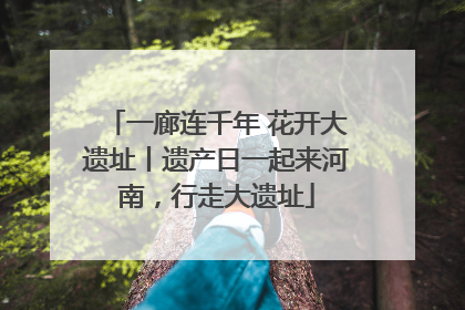 一廊连千年 花开大遗址丨遗产日一起来河南，行走大遗址
