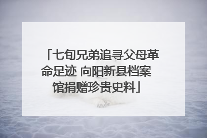七旬兄弟追寻父母革命足迹 向阳新县档案馆捐赠珍贵史料