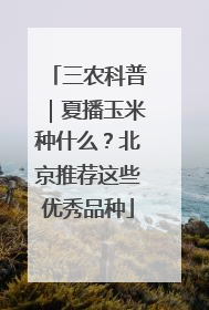 三农科普｜夏播玉米种什么？北京推荐这些优秀品种