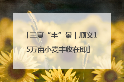 三夏“丰”景｜顺义15万亩小麦丰收在即