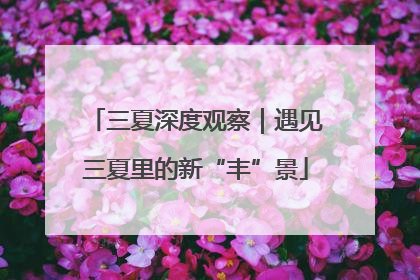 三夏深度观察｜遇见三夏里的新“丰”景