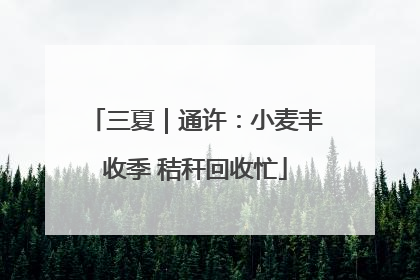 三夏｜通许：小麦丰收季 秸秆回收忙