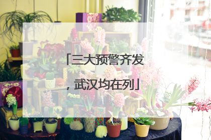 三大预警齐发，武汉均在列