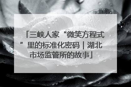 三峡人家“微笑方程式”里的标准化密码｜湖北市场监管所的故事