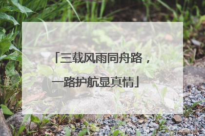三载风雨同舟路，一路护航显真情