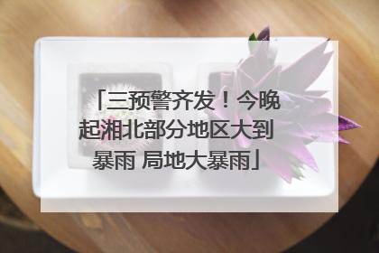 三预警齐发！今晚起湘北部分地区大到暴雨 局地大暴雨