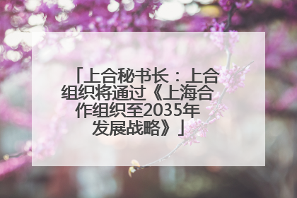 上合秘书长：上合组织将通过《上海合作组织至2035年发展战略》