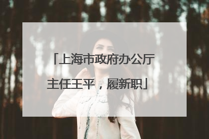 上海市政府办公厅主任王平，履新职