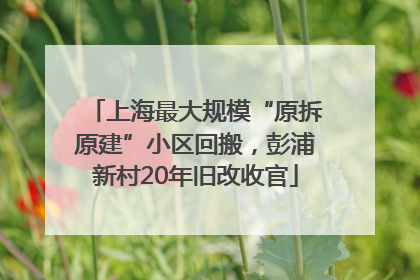 上海最大规模“原拆原建”小区回搬，彭浦新村20年旧改收官