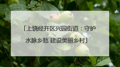 上饶经开区兴园街道：守护水脉乡愁 建设美丽乡村